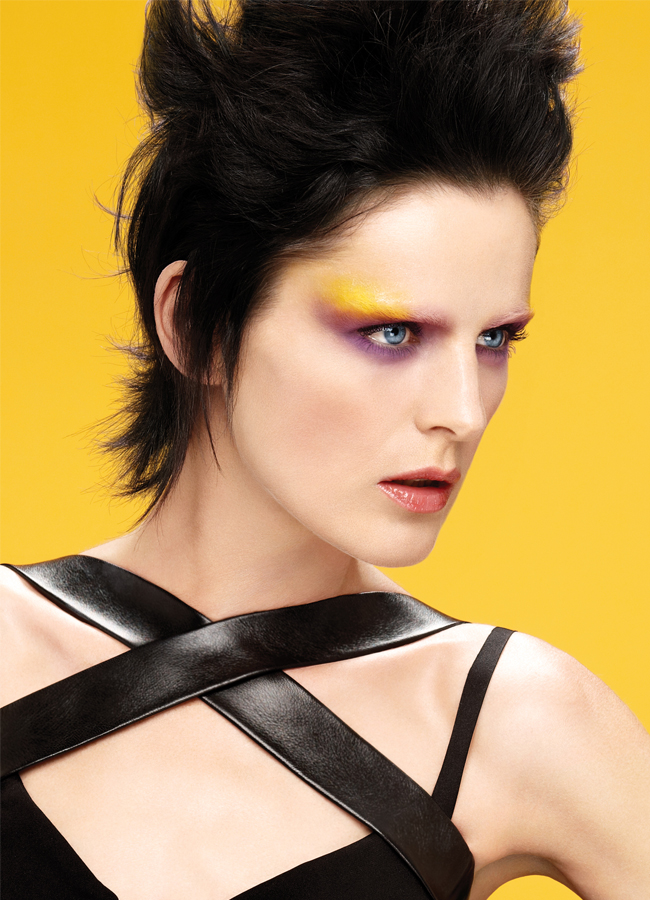 NARS_Model