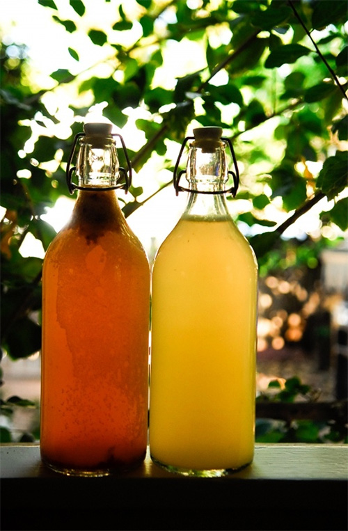 Kombucha