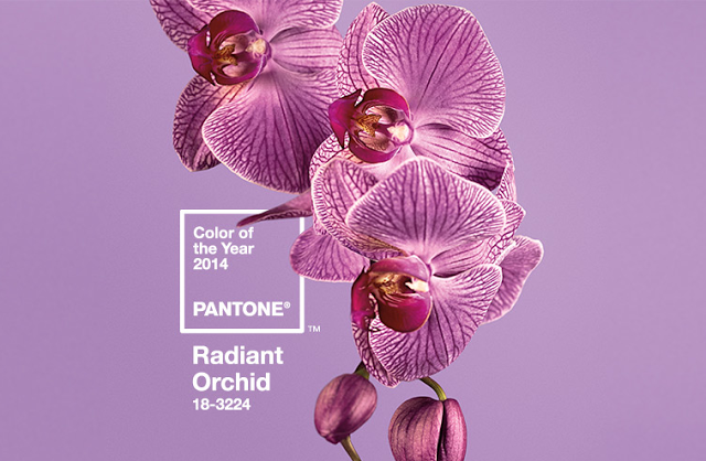 Say hello to Pantone's chosen color for 2014.