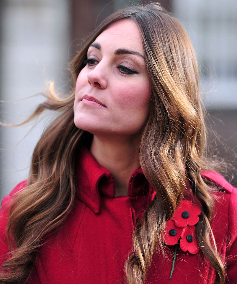 The Duke And Duchess Of Cambridge Meet London Poppy Day Supporters