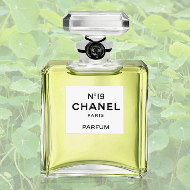 POUR MONSIEUR EAU DE TOILETTE perfume de Chanel  Wikiparfum