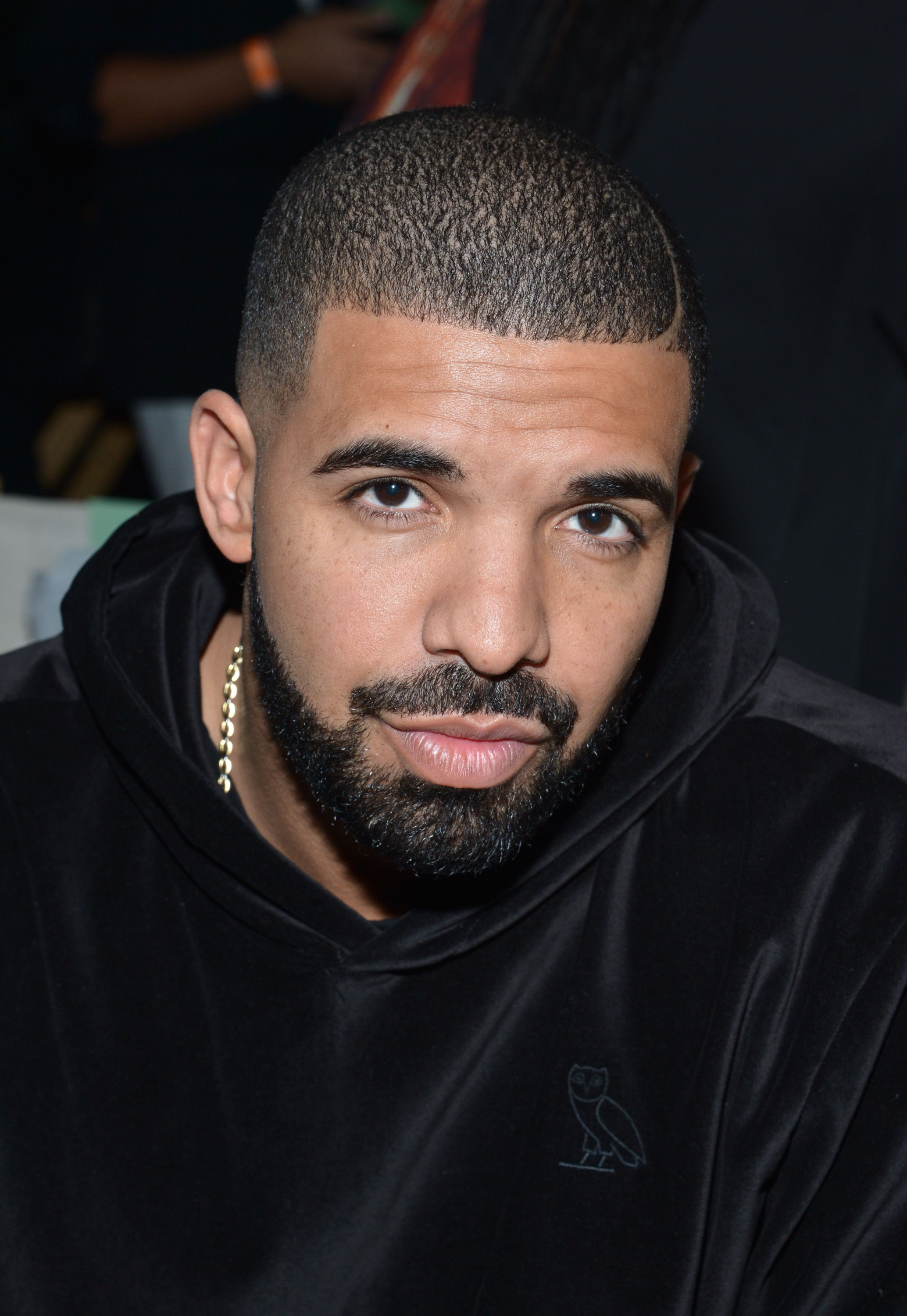drake eyebrows drake eyebrows